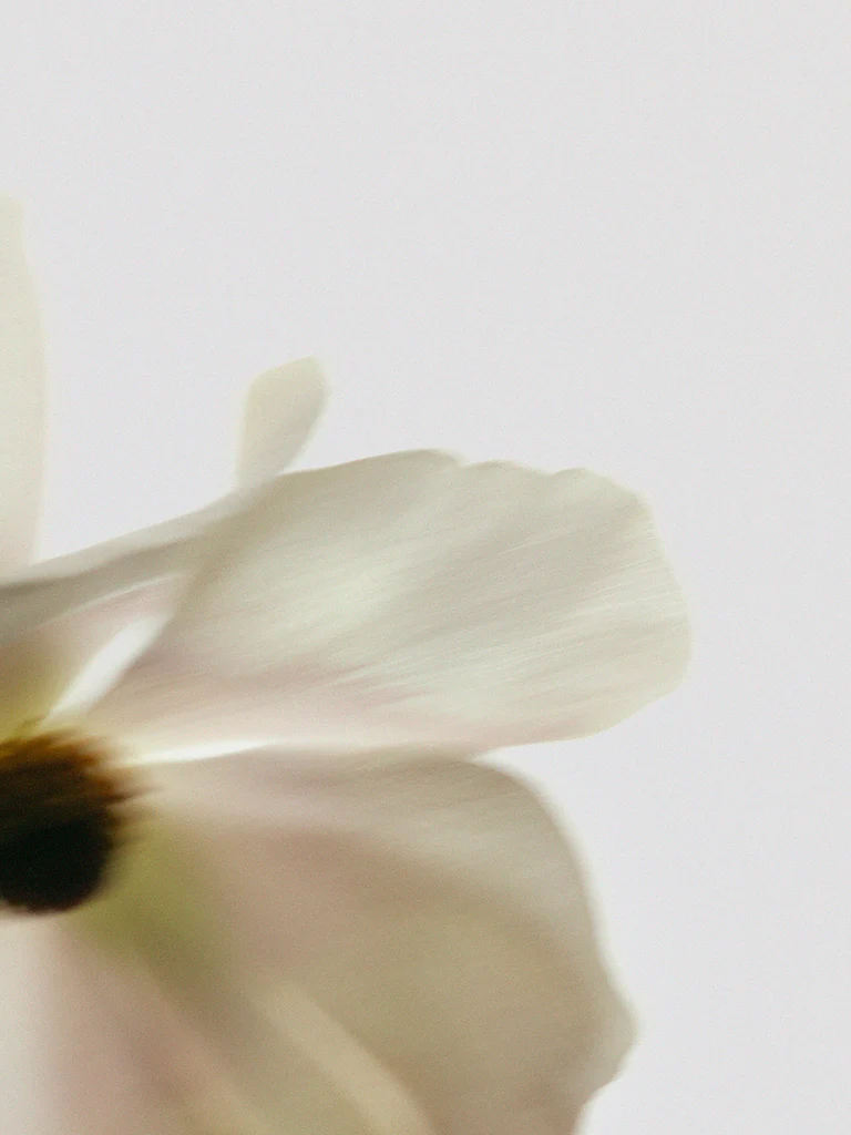 Timeless Cashmere from Stockholm